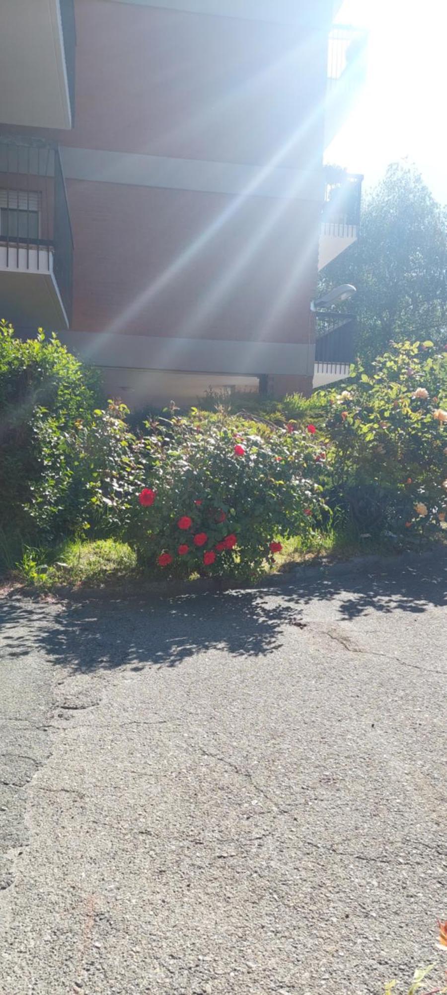 Appartement Il Mughetto à Aoste Extérieur photo
